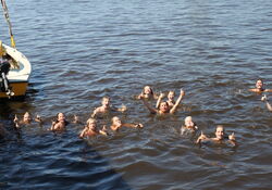 watertrappelen